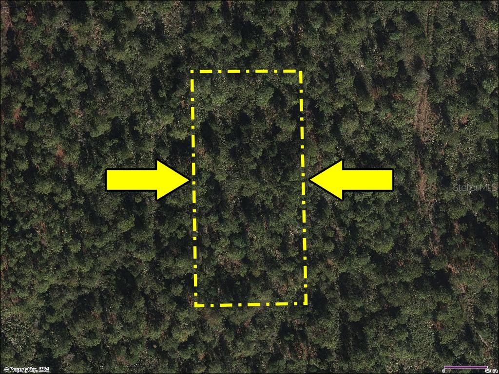 Vacant Land on International Drive S Orlando FL 32821 O6394131 image9