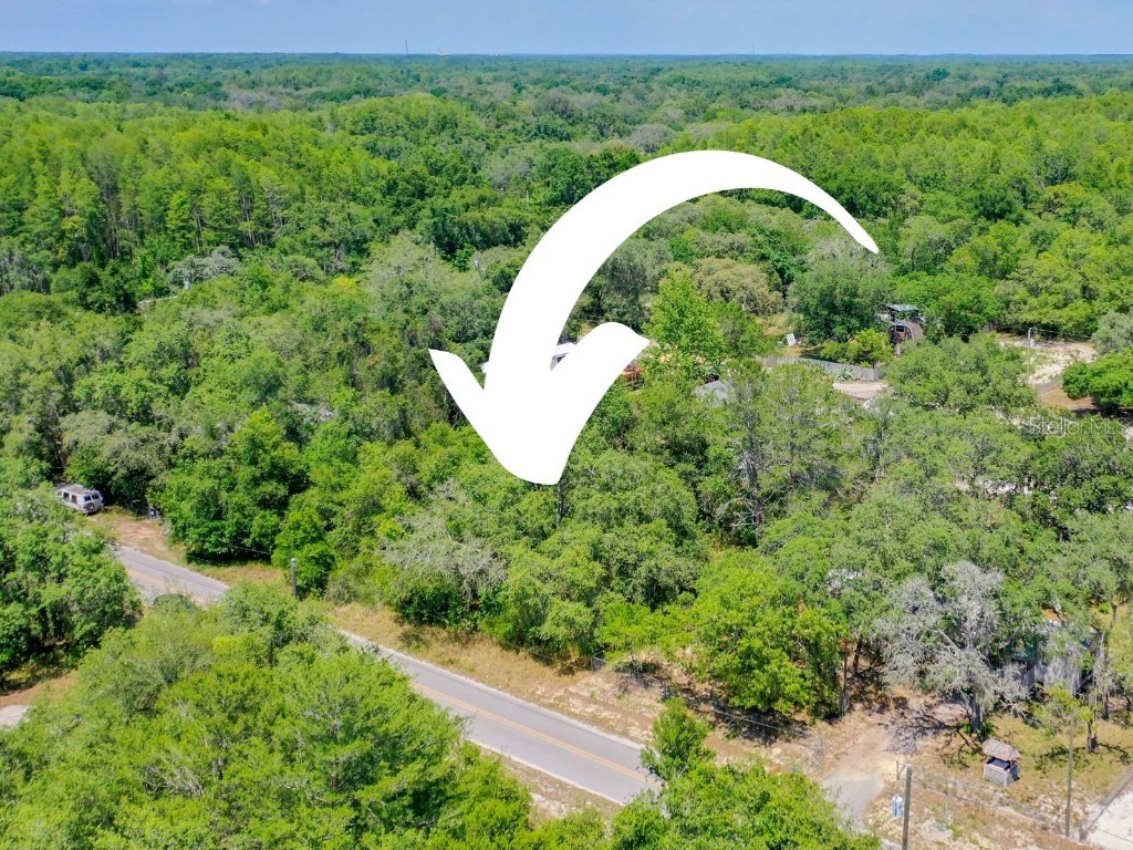 X Adler Street New Port Richey FL 34654 S5084961 image1