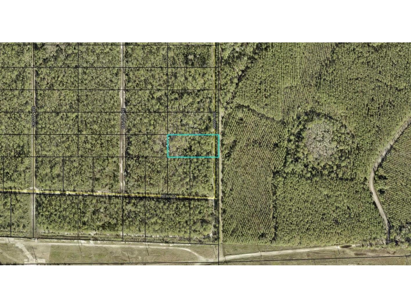 X Amos Avenue Hastings FL 32145 FC303416 image1