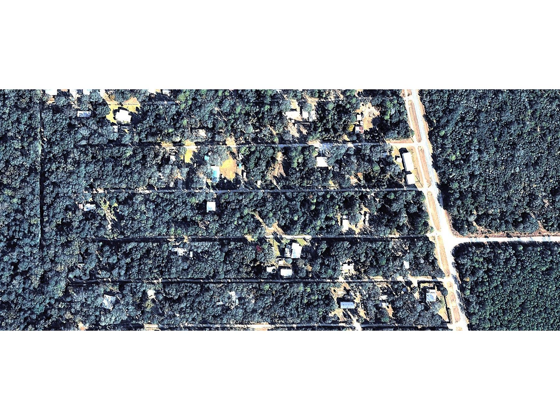 X NE 192nd Street Fort Mc Coy FL 32134 O6420198 image2