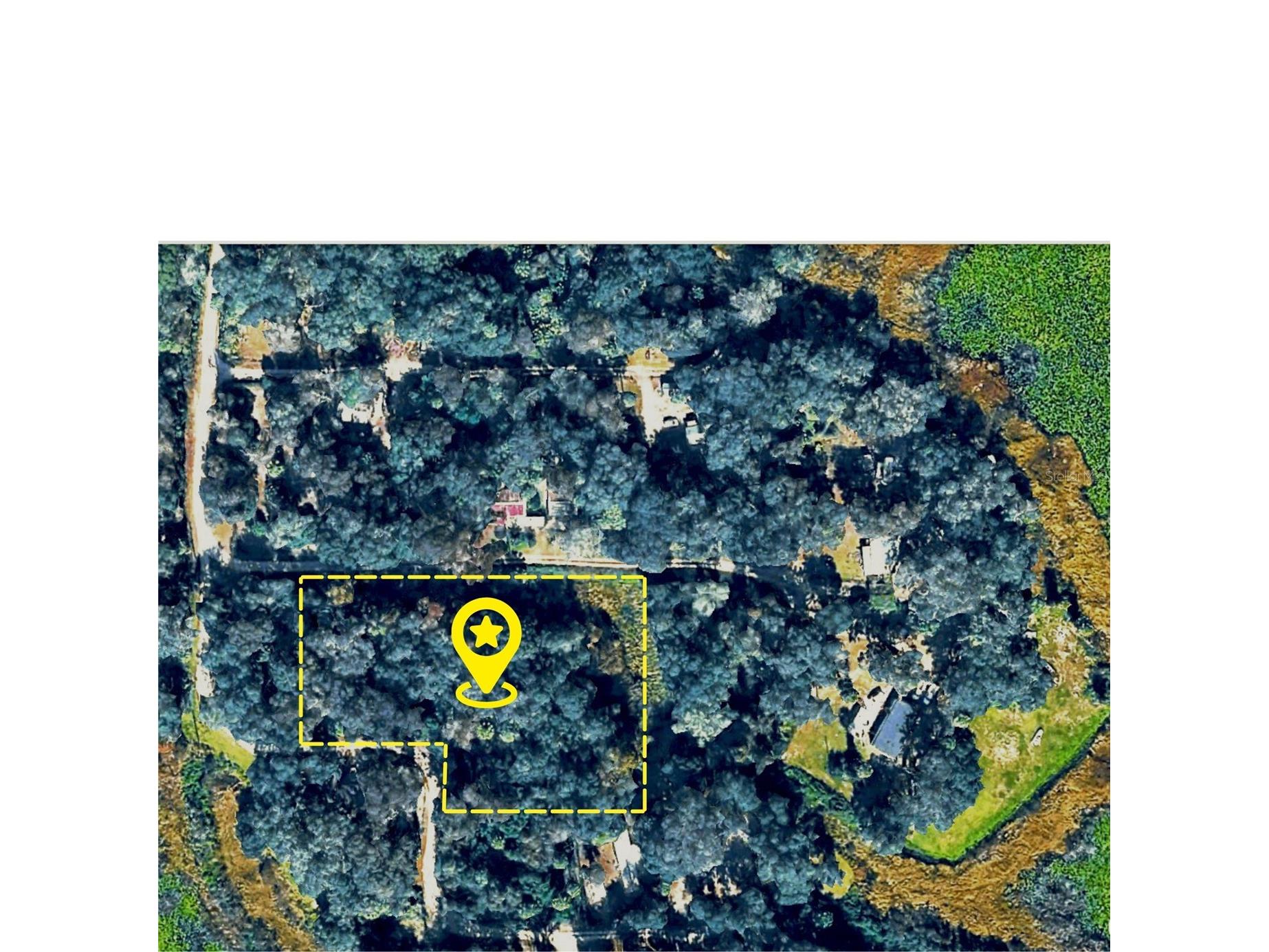 X NE 31st Terrace Citra FL 32113 O6420199 image1