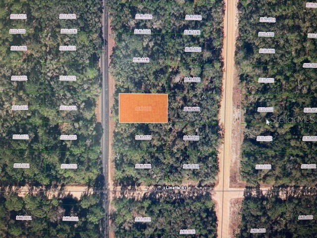 X Theresa Avenue Interlachen FL 32148 FC316699 image1