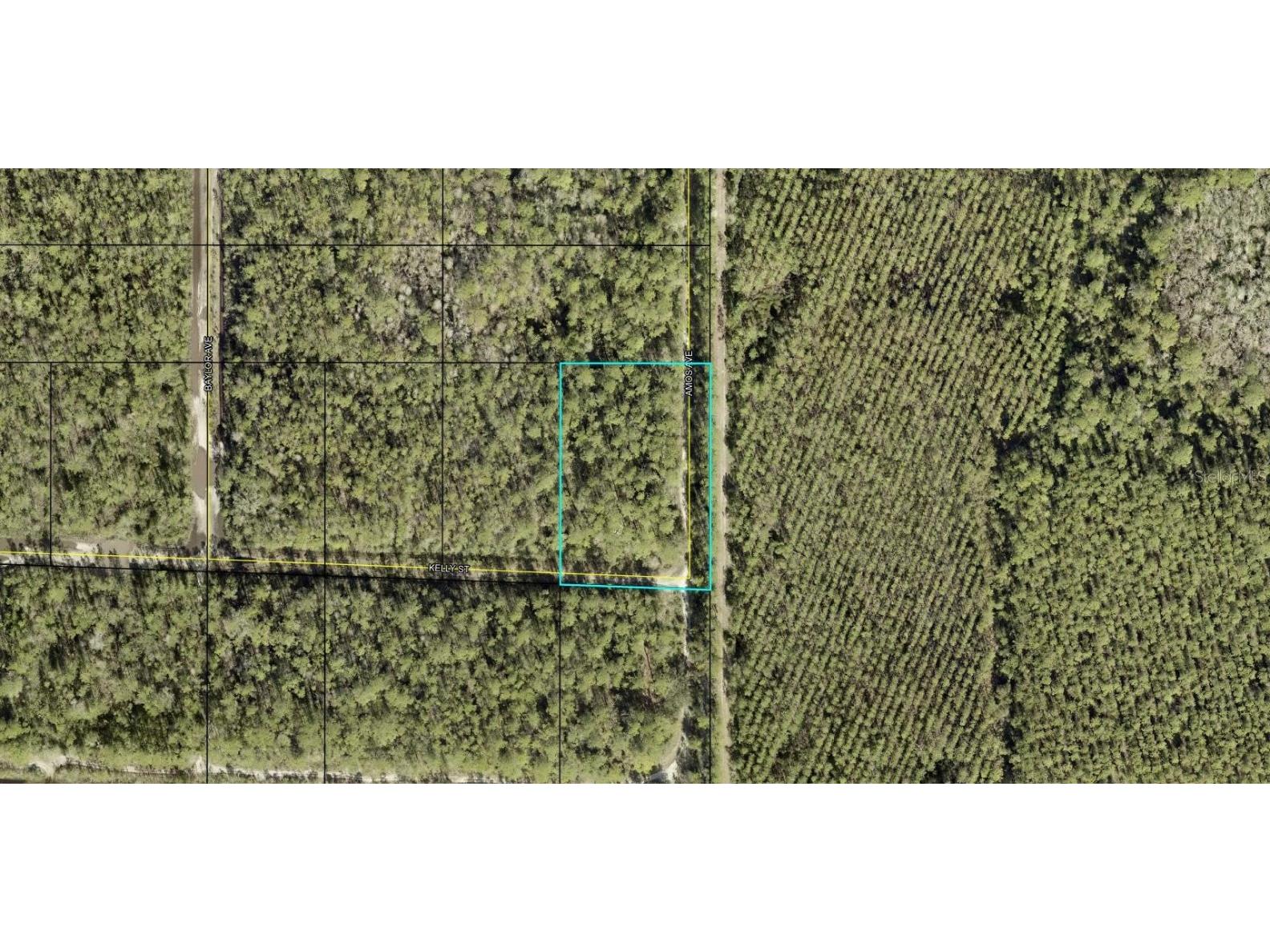 XX Amos Avenue Hastings FL 32145 FC297921 image1