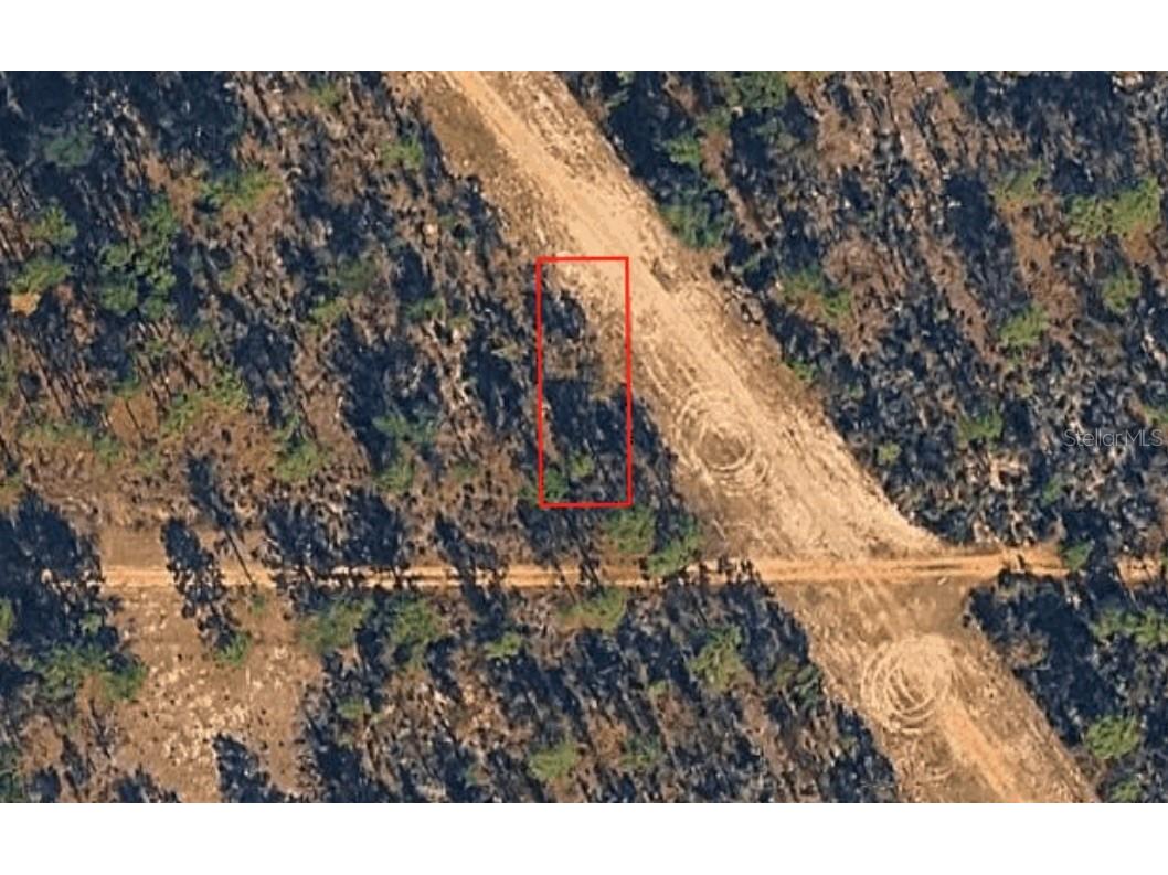 XX Birch Ave Interlachen FL 32148 FC319348 image1
