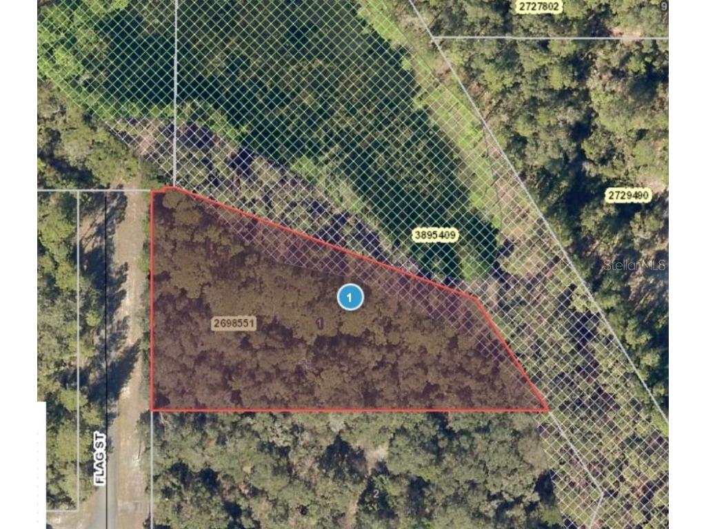 XX Flag Street Eustis FL 32736 FC285142 image1