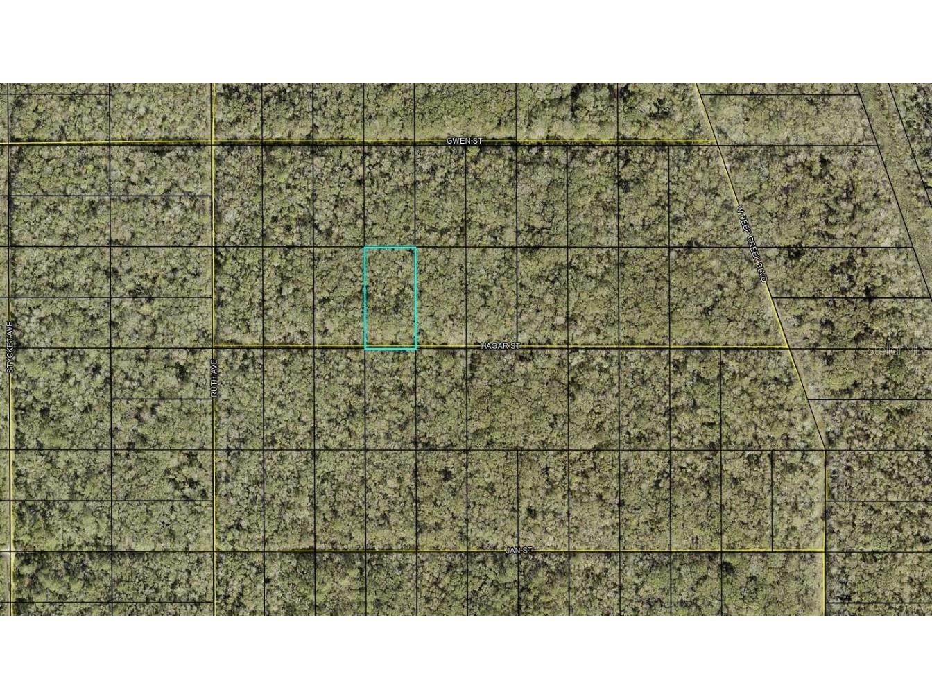 XX Hagar St Street Hastings FL 32145 FC306883 image1