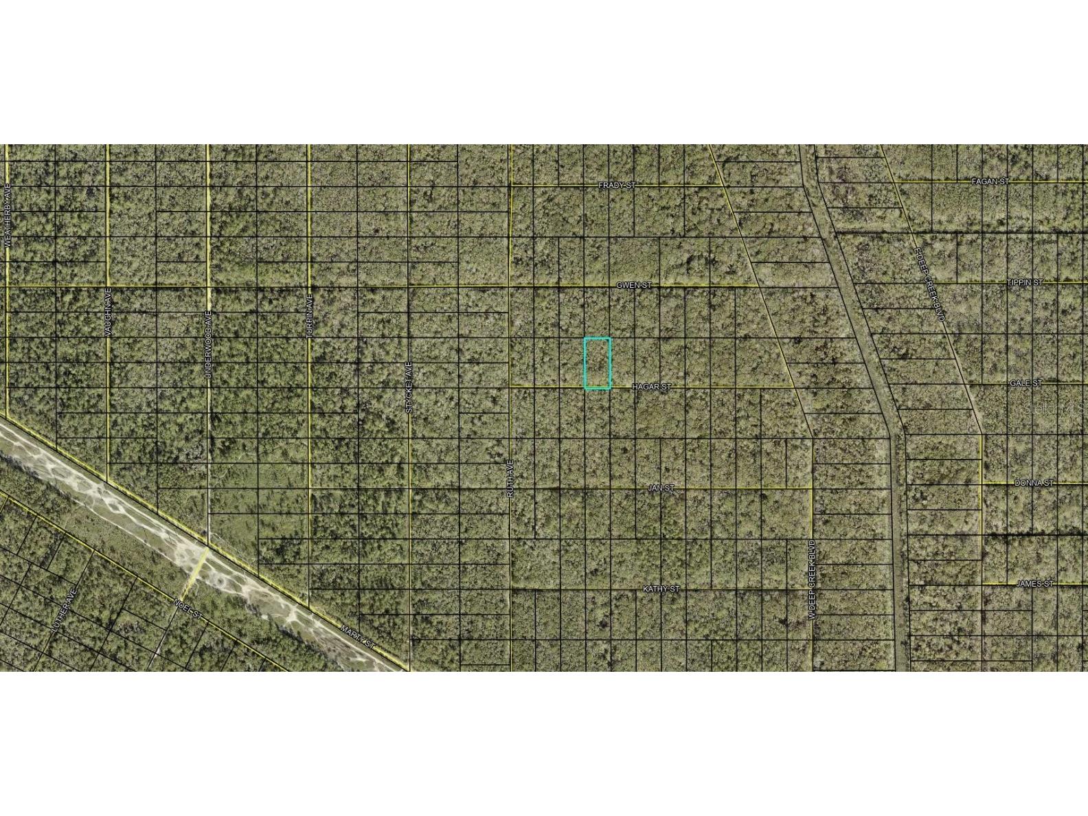 XX Hagar St Street Hastings FL 32145 FC306883 image4