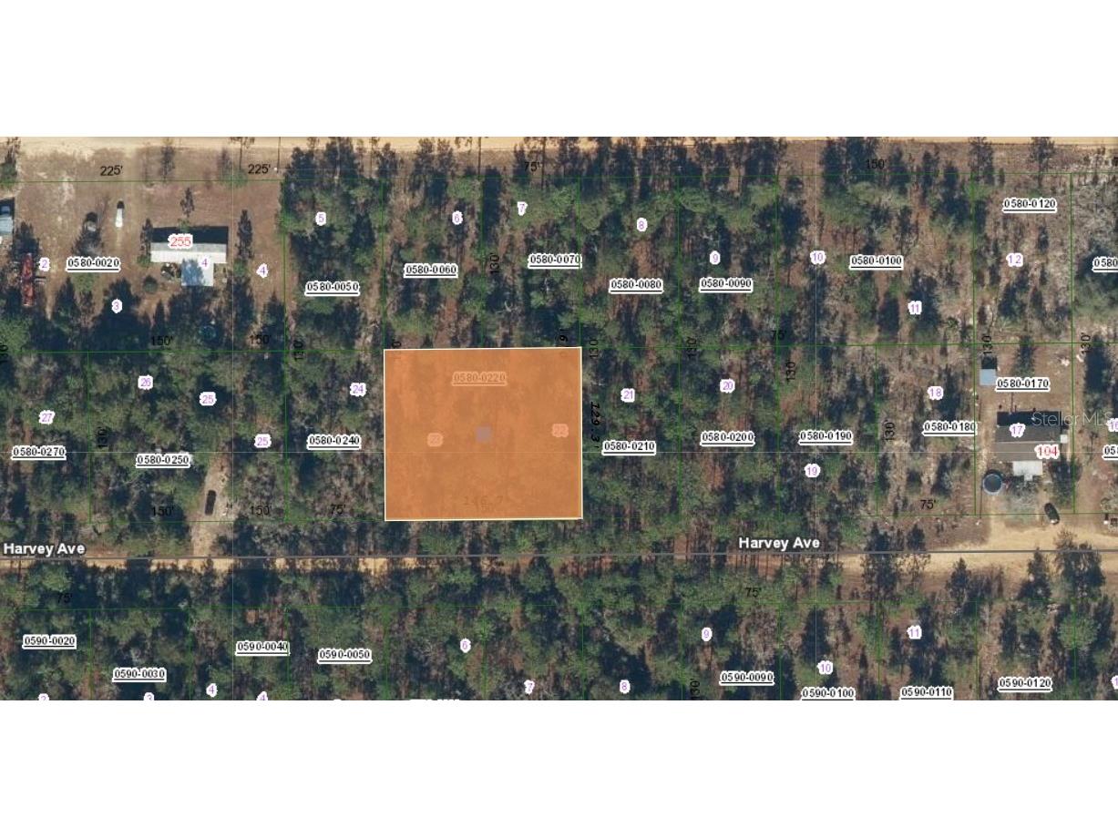 XX Harvey Avenue Interlachen FL 32148 FC301748 image1