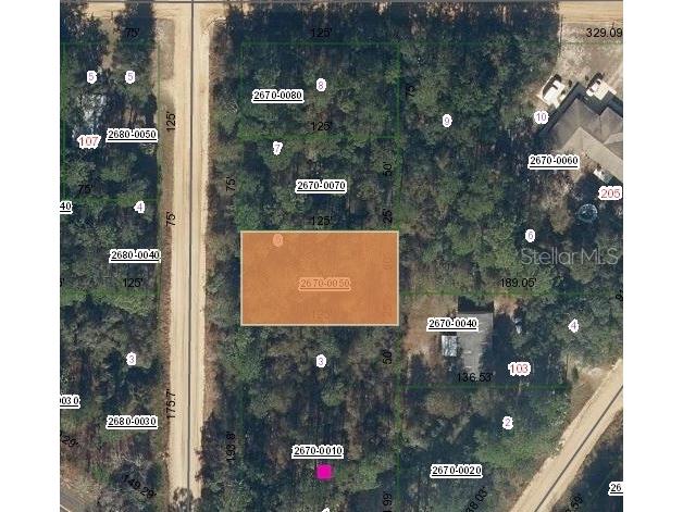 XX Martha Avenue Interlachen FL 32148 FC296298 image1