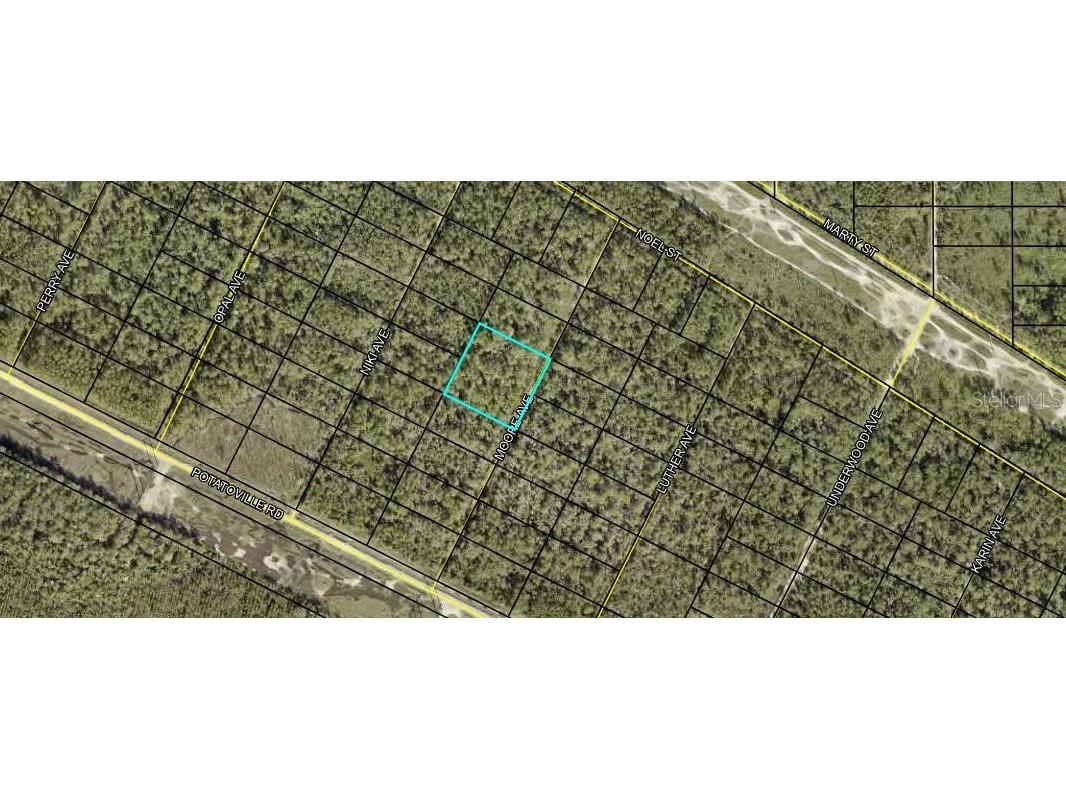 XX Moore Avenue Hastings FL 32145 FC305276 image1