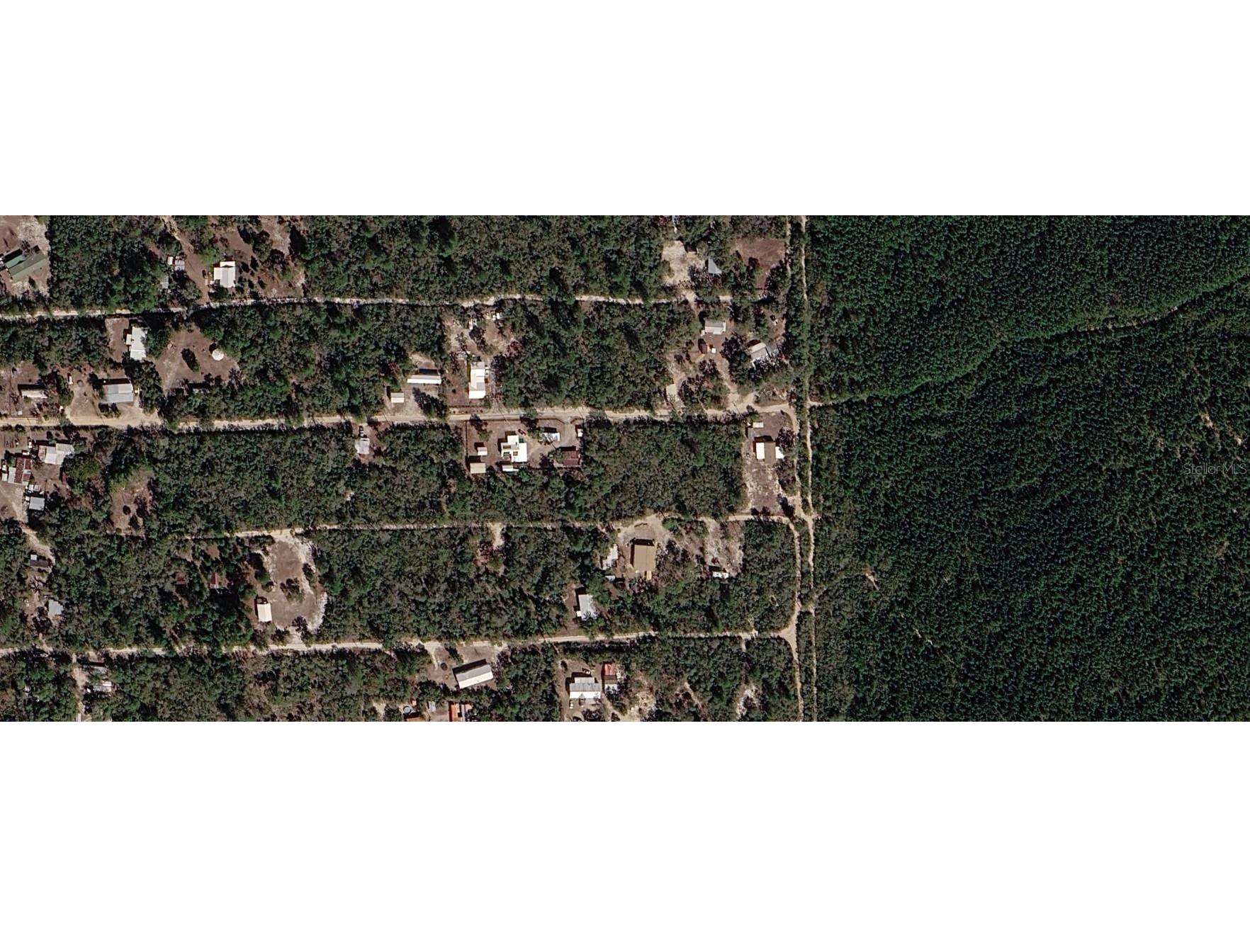 XX NE 234th Lane Fort Mc Coy FL 32134 O6420192 image2
