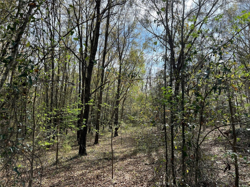 XX NW 162nd Lane Alachua FL 32615 GC511471 image1