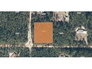 XX Pine Way Interlachen FL 32148 FC318546 image1