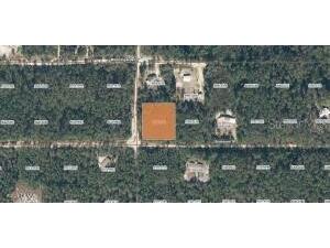 XX Pine Way Interlachen FL 32148 FC318546 image2