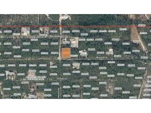 XX Pine Way Interlachen FL 32148 FC318546 image3
