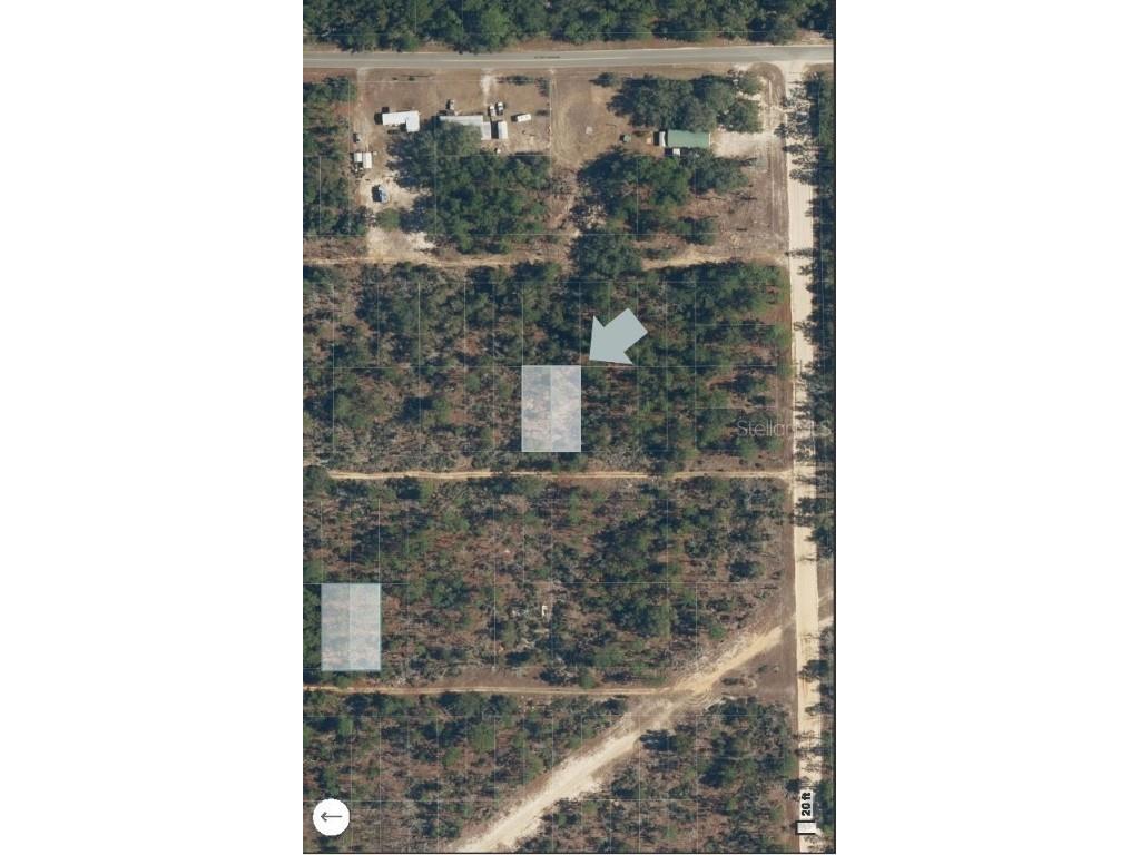 XX Pine Way Interlachen FL 32148 OM710544 image3