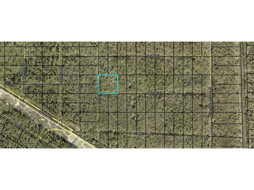 XX Ruth Ave Avenue Hastings FL 32145 FC293935 image1