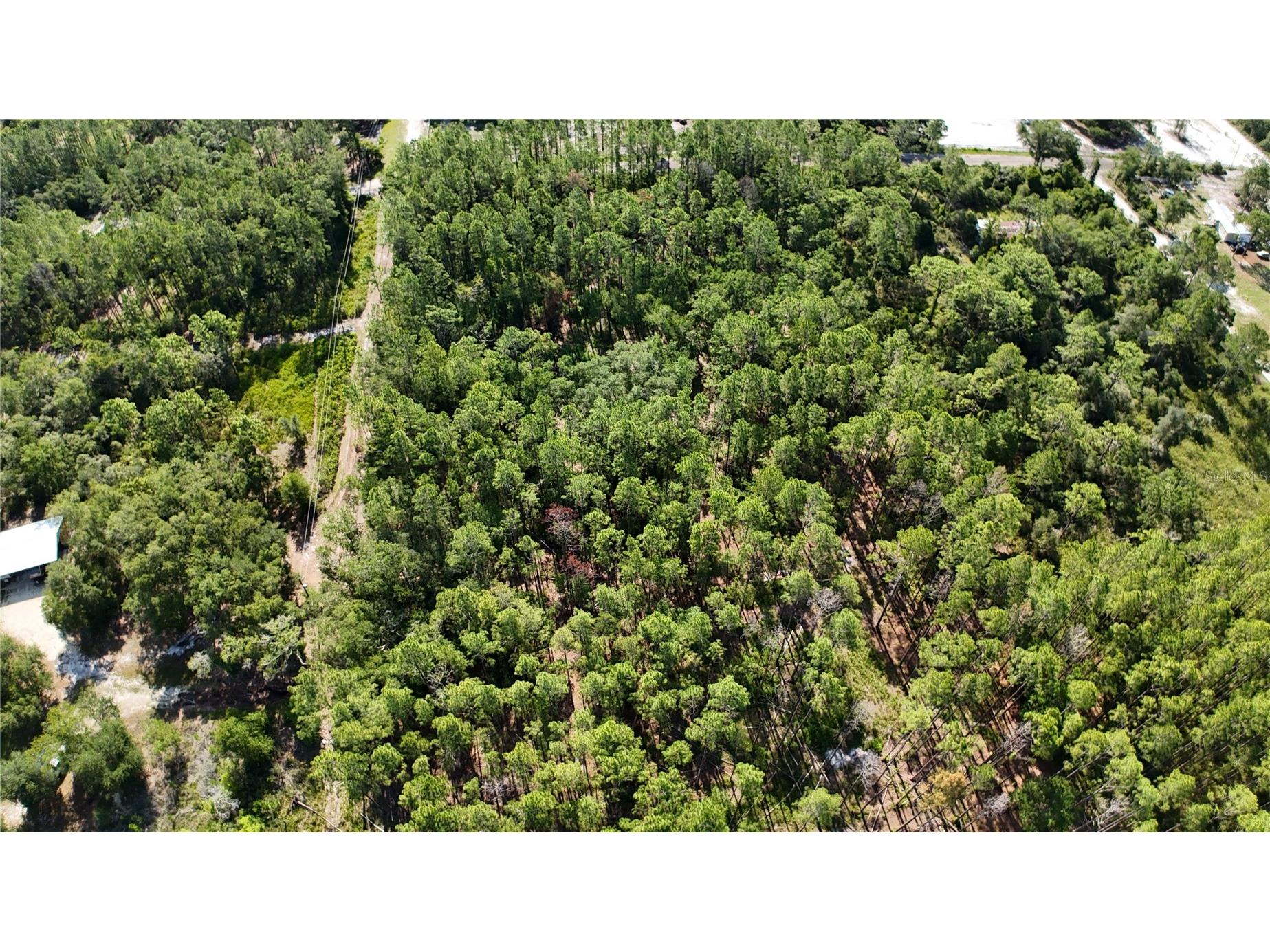 XX SW 156th Place Dunnellon FL 34432 O6420204 image1