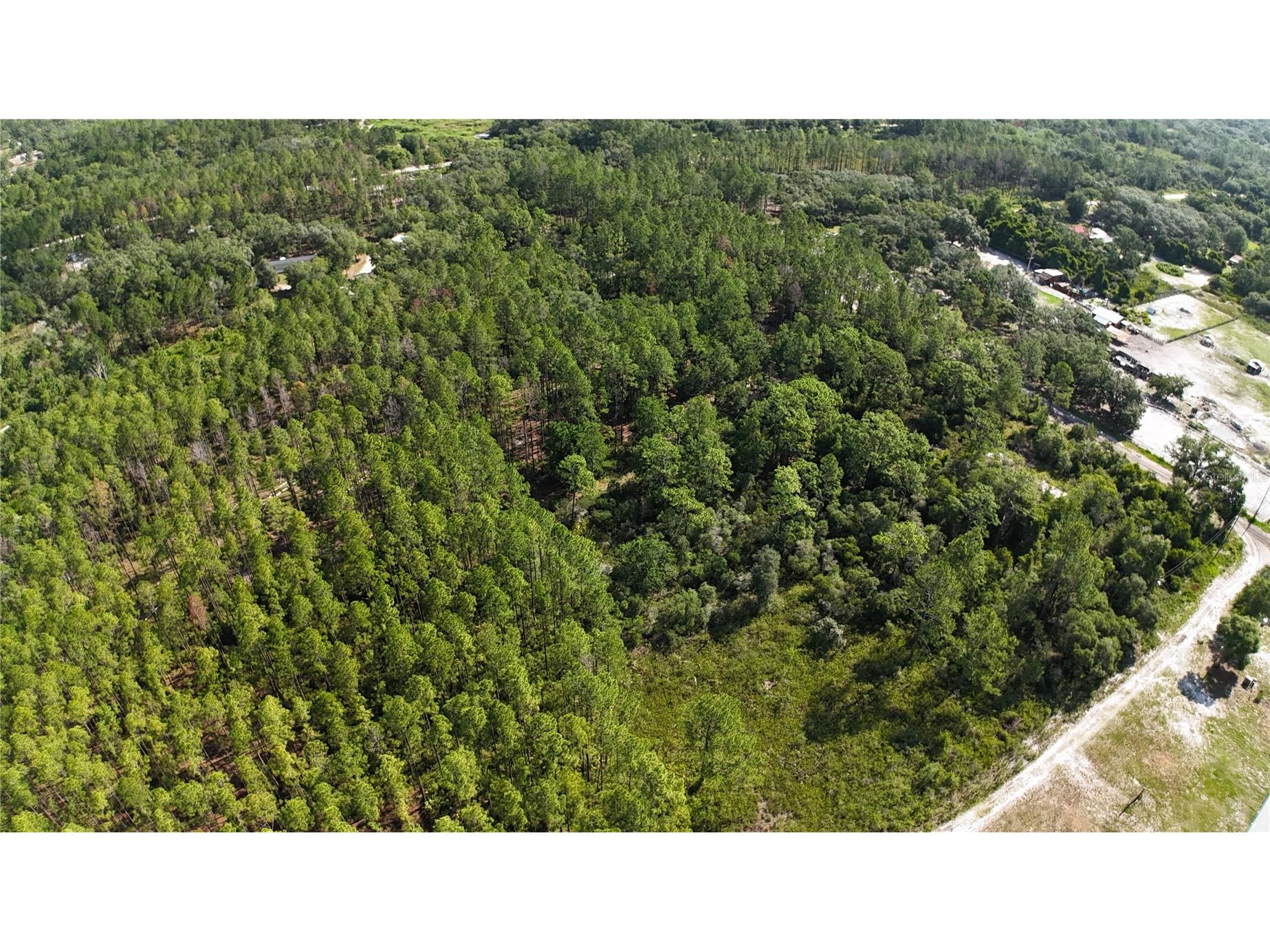XX SW 156th Place Dunnellon FL 34432 O6420204 image6