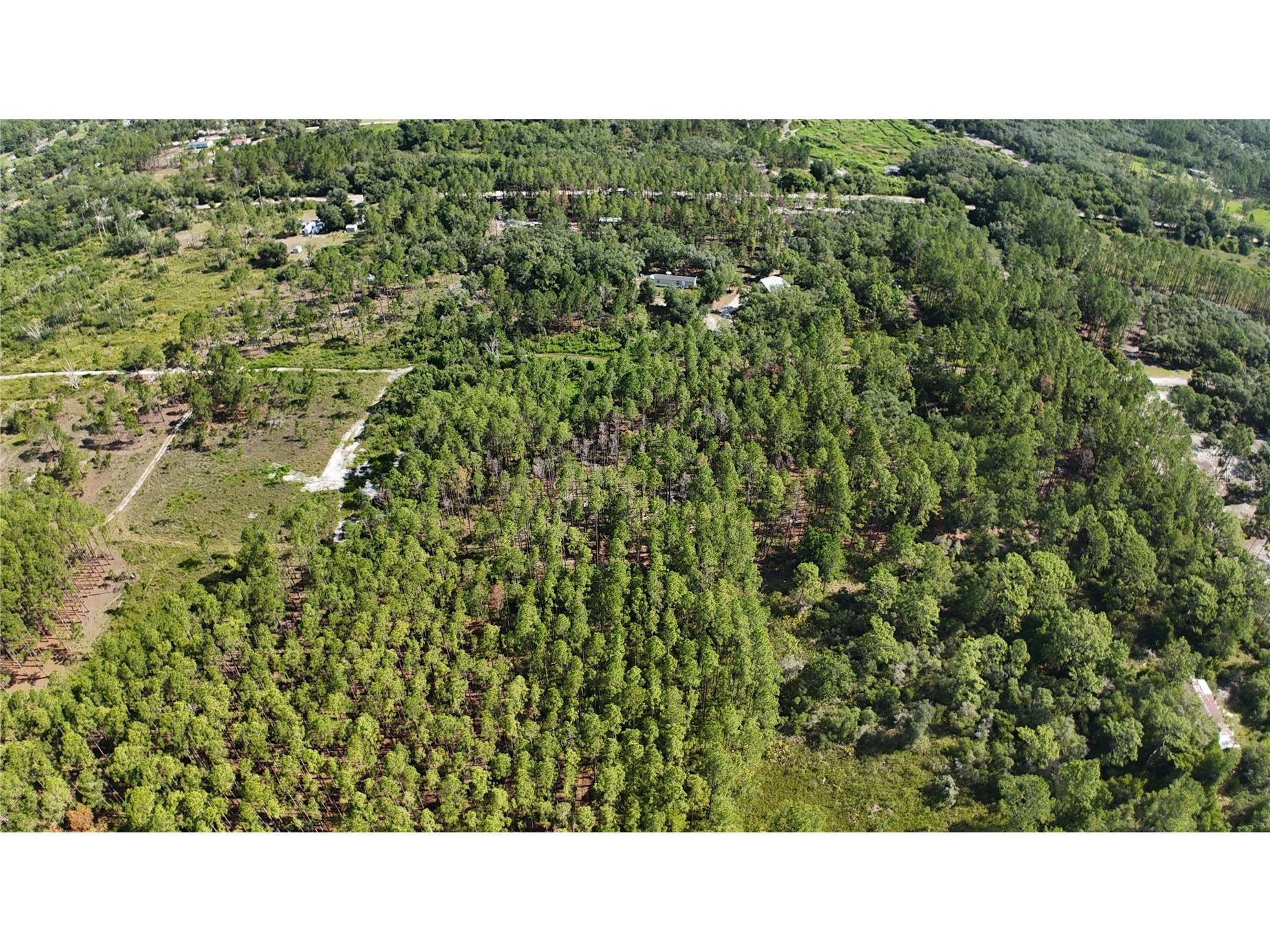 XX SW 156th Place Dunnellon FL 34432 O6420204 image9