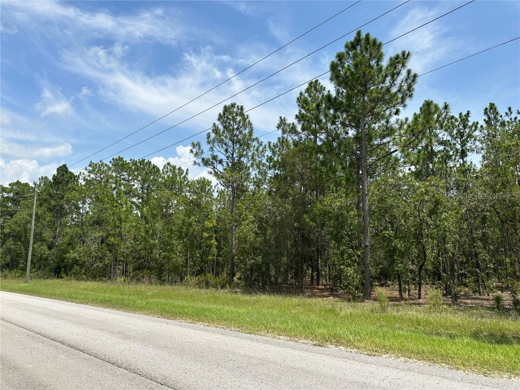 XX SW 66th Lot 11 Street Dunnellon FL 34432 O6126733 image1