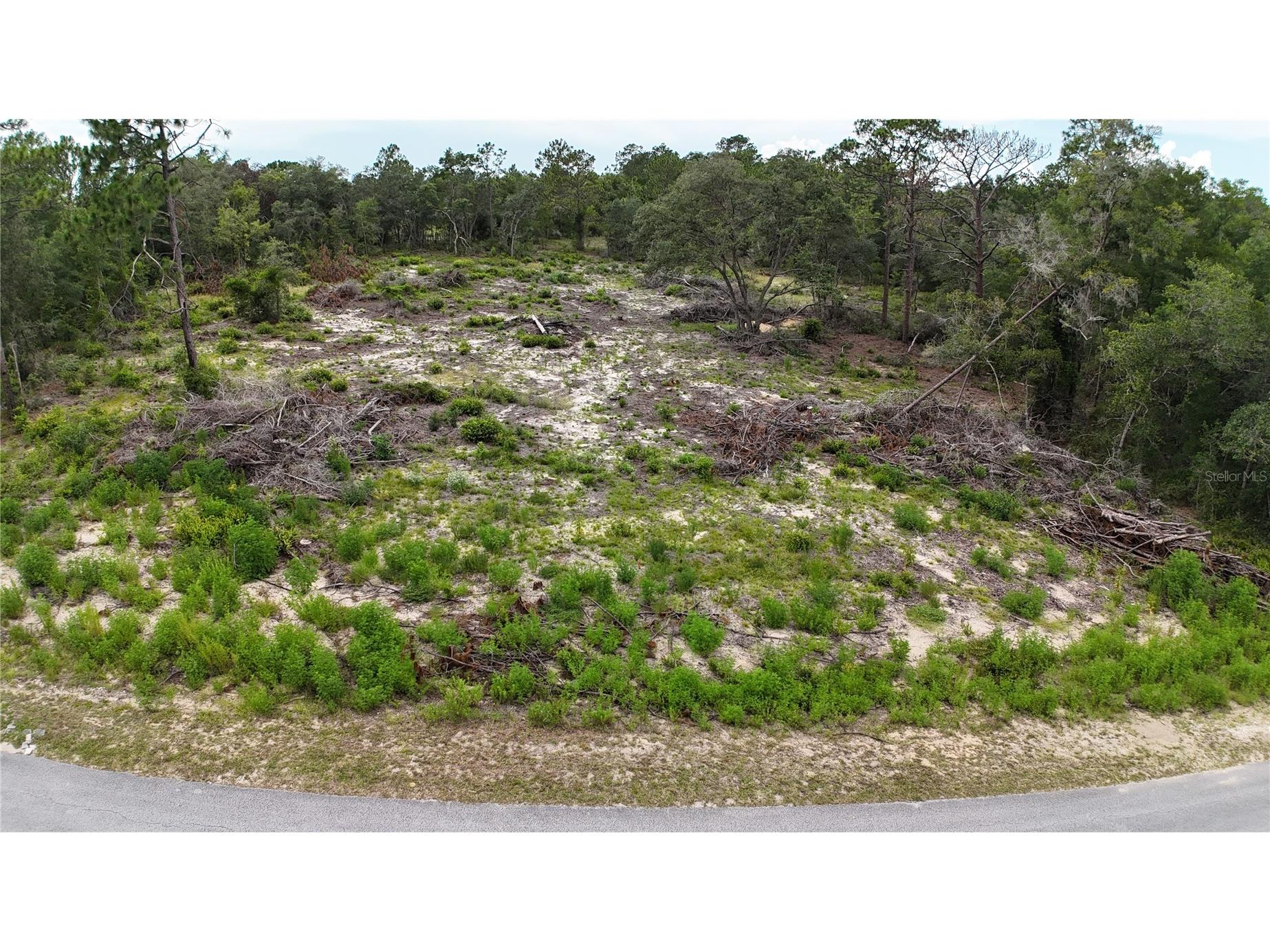XX SW Begonia Court Dunnellon FL 34431 O6417571 image1