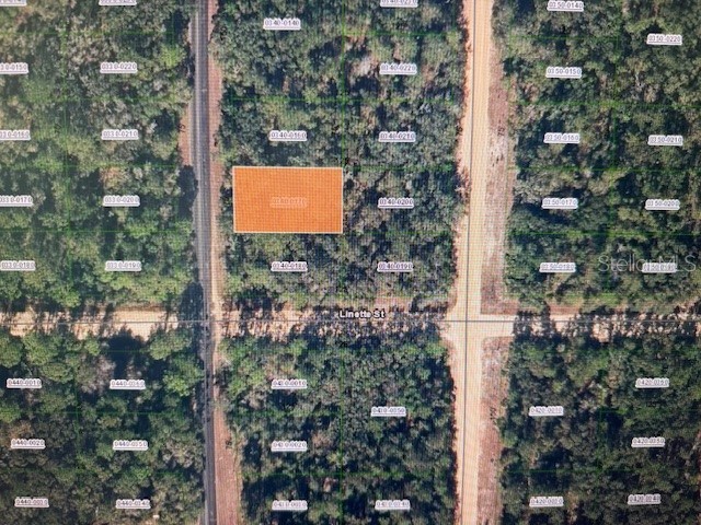 XX Theresa Avenue Interlachen FL 32148 FC316700 image1