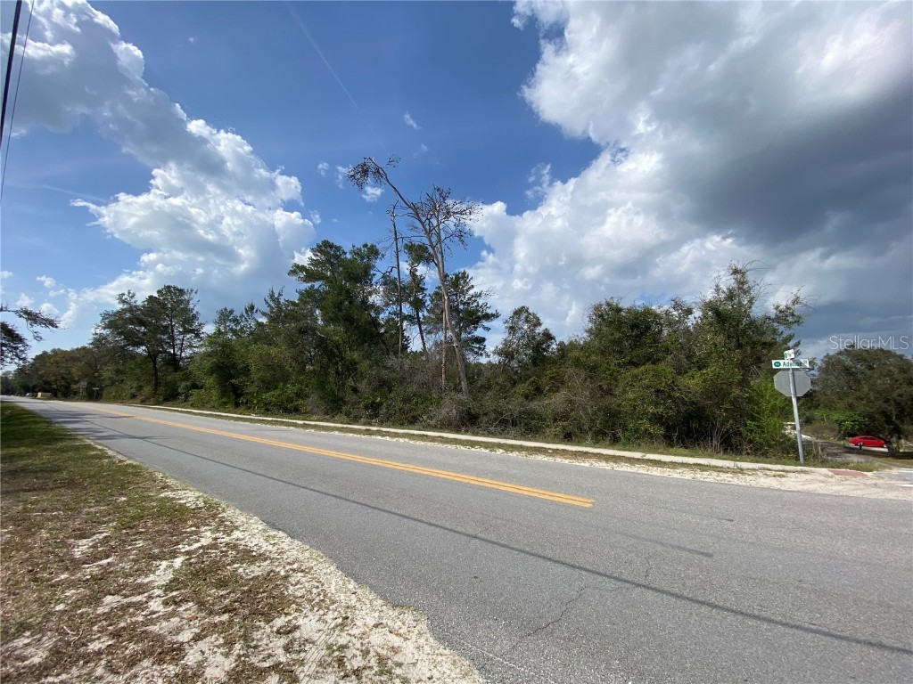 XXX Adeline Street Orange City FL 32763 V4929020 image1