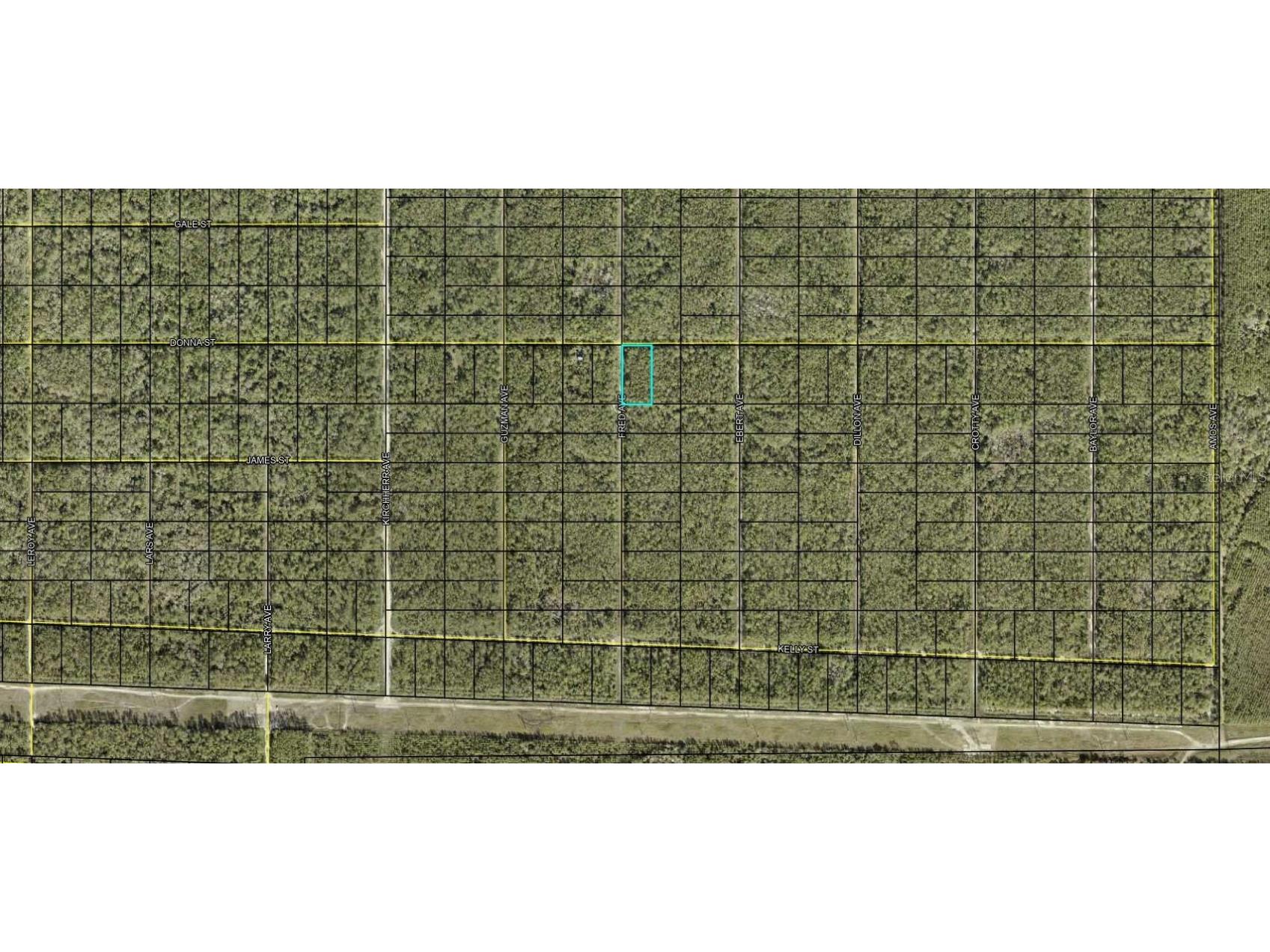 XXX Donna Street Hastings FL 32145 FC309383 image4