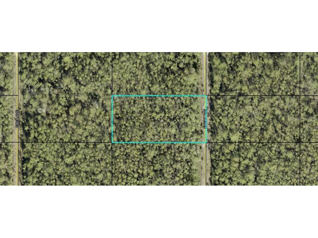 XXX Ebert Avenue Hastings FL 32145 FC303244 image1