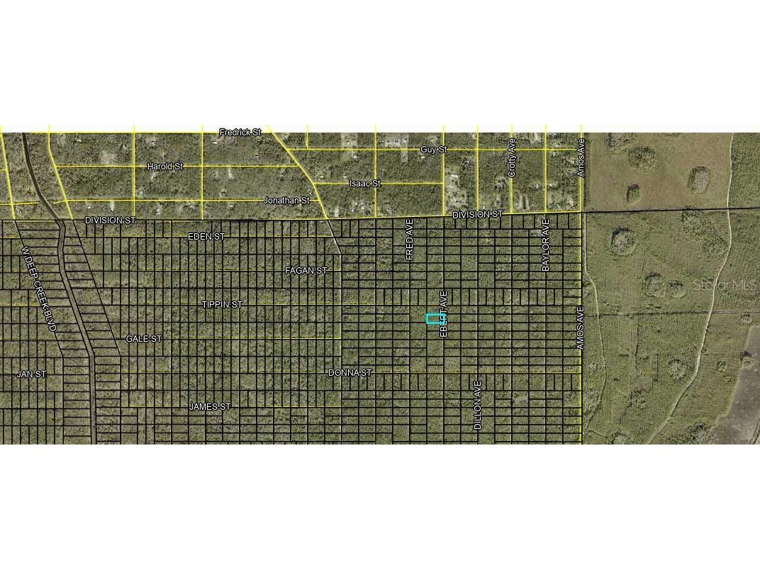 XXX Ebert Avenue Hastings FL 32145 FC303244 image2