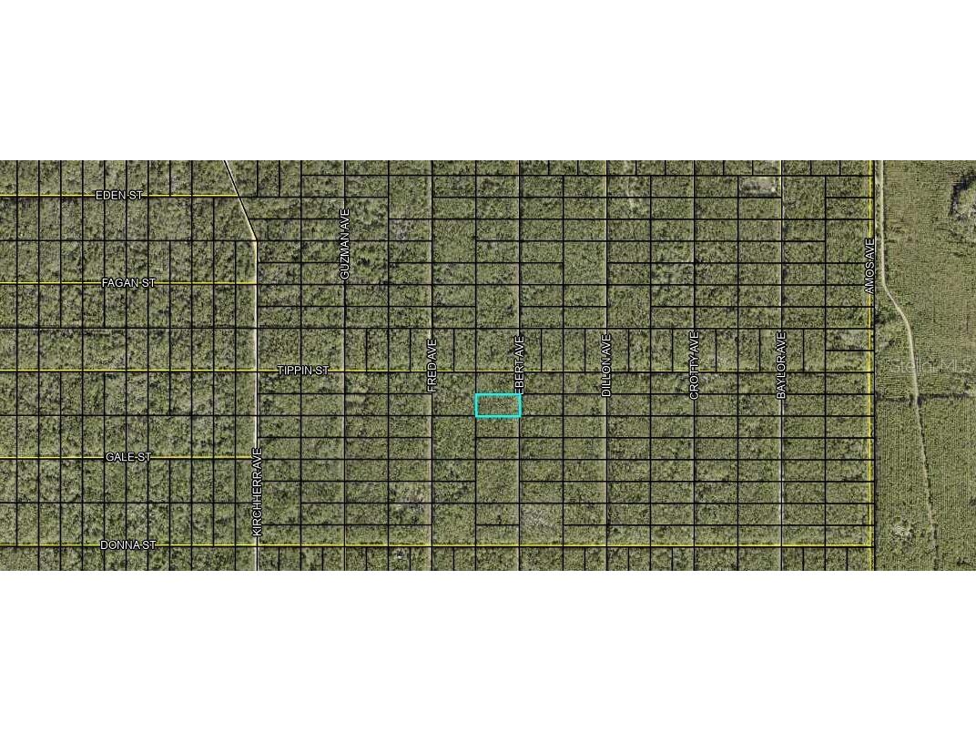 XXX Ebert Avenue Hastings FL 32145 FC303244 image3