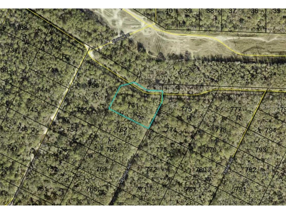 XXX George Avenue Hastings FL 32145 FC303942 image1