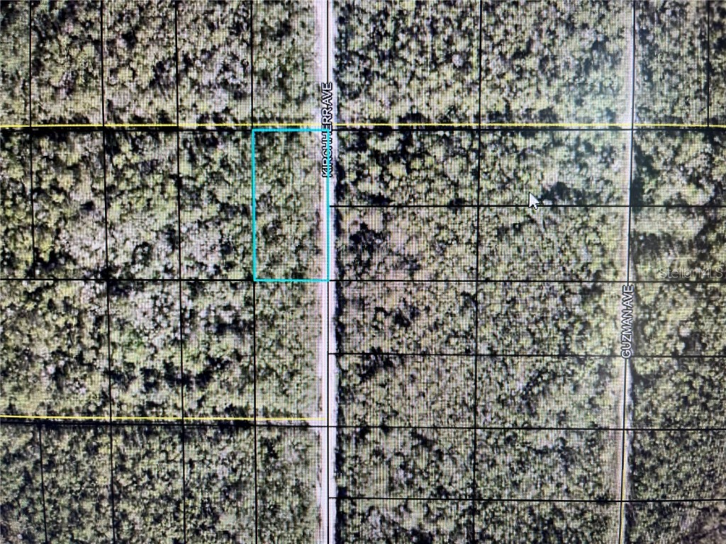 XXX Kirschherr Avenue Hastings FL 32145 FC295936 image1