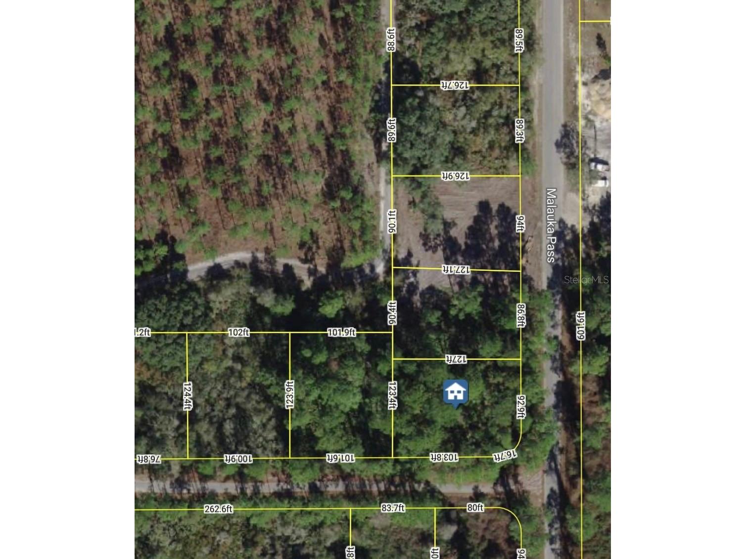 XXX Malauka Pass Pass Ocklawaha FL 32179 V4948560 image1