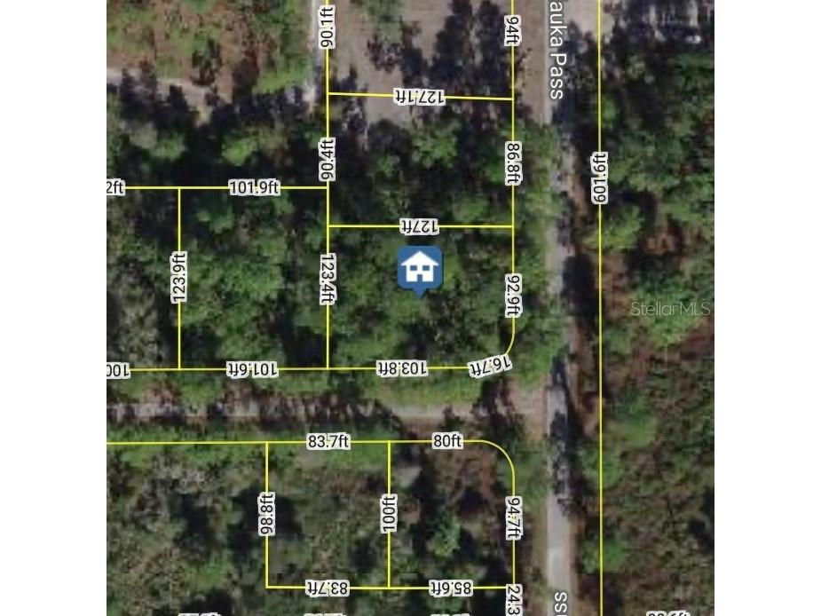 XXX Malauka Pass Pass Ocklawaha FL 32179 V4948560 image3