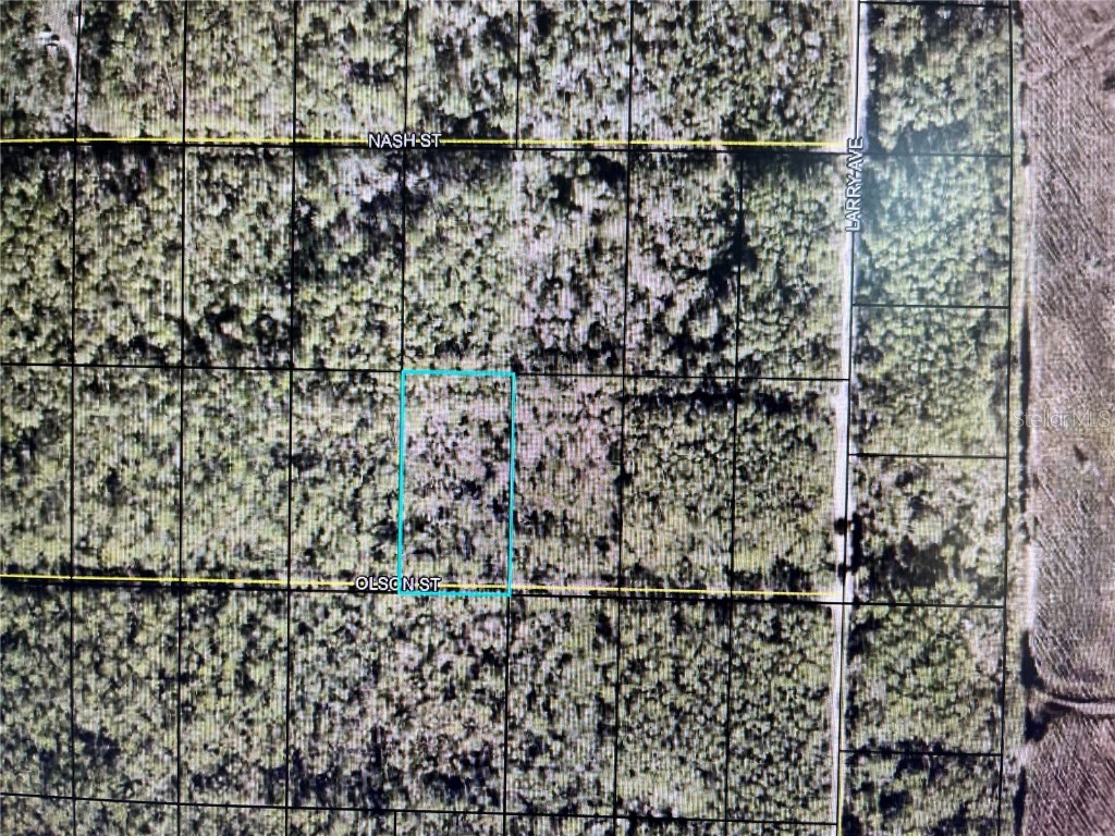 XXX Olson Street Hastings FL 32145 FC295940 image1