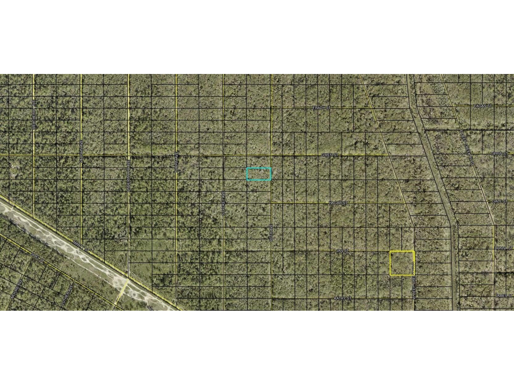XXX Ruth Ave. Avenue Hastings FL 32145 FC306382 image3