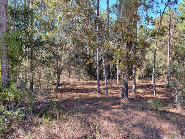 XXX SE 142nd Court Morriston FL 32668 GC536000 image4