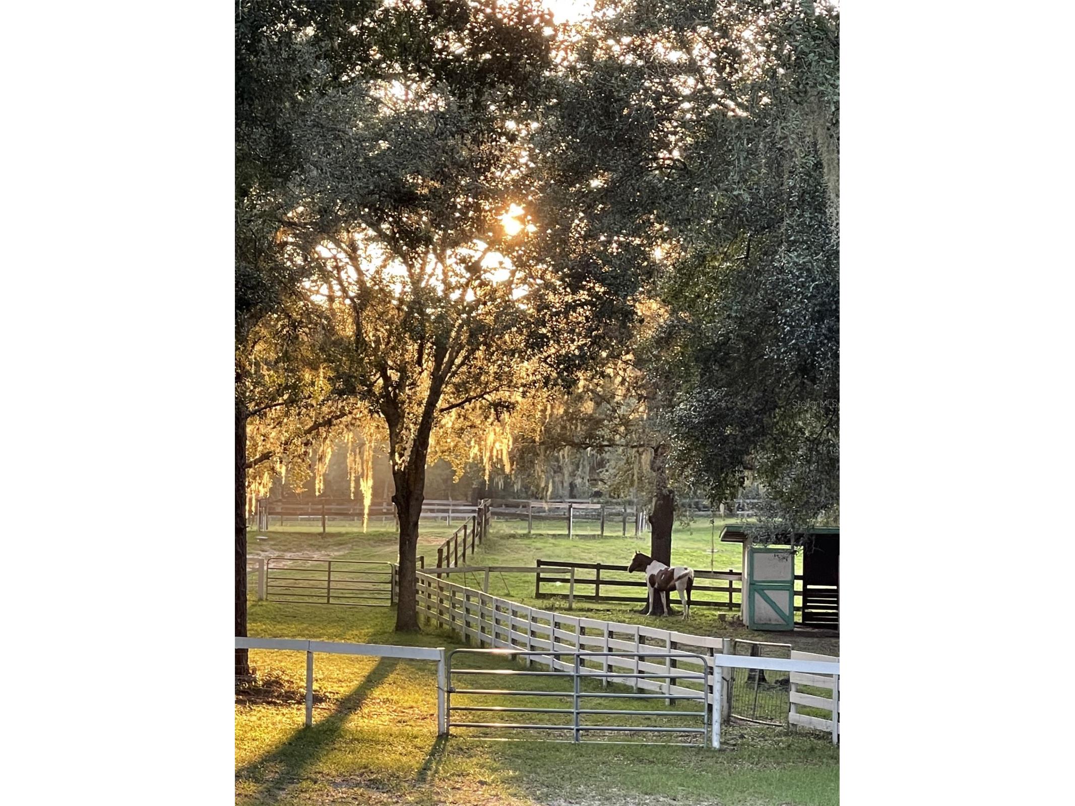 XXX Trilby Trails Trail Dade City FL 33523 TB8462818 image1