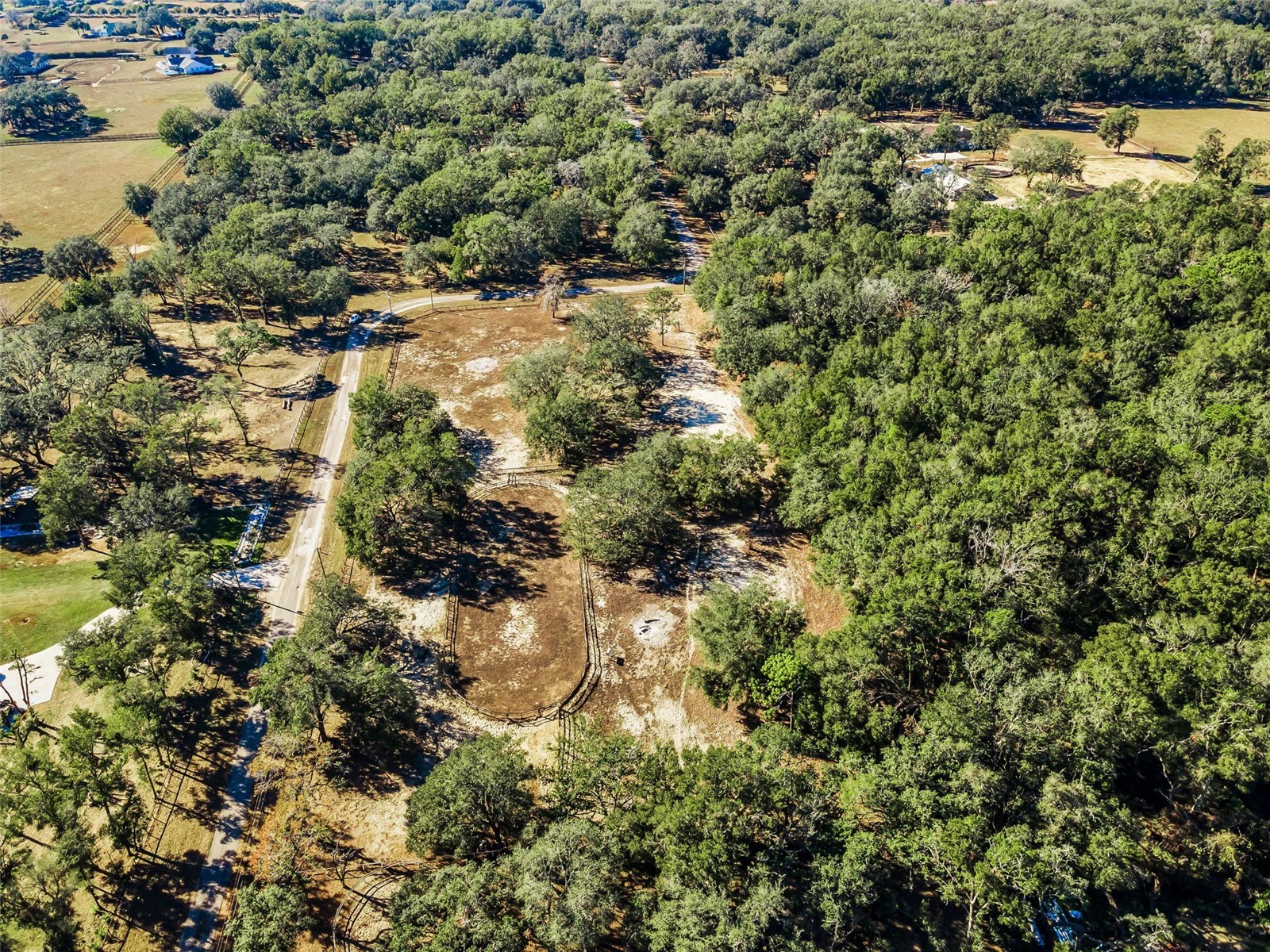 XXX Trilby Trails Trail Dade City FL 33523 TB8462818 image13