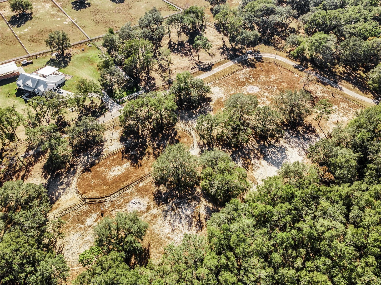 XXX Trilby Trails Trail Dade City FL 33523 TB8462818 image15