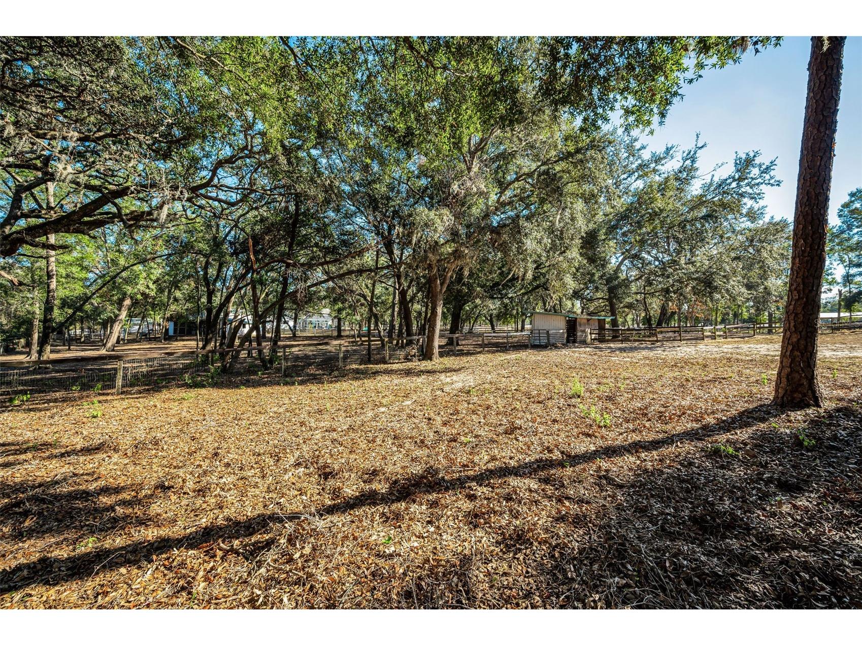 XXX Trilby Trails Trail Dade City FL 33523 TB8462818 image16