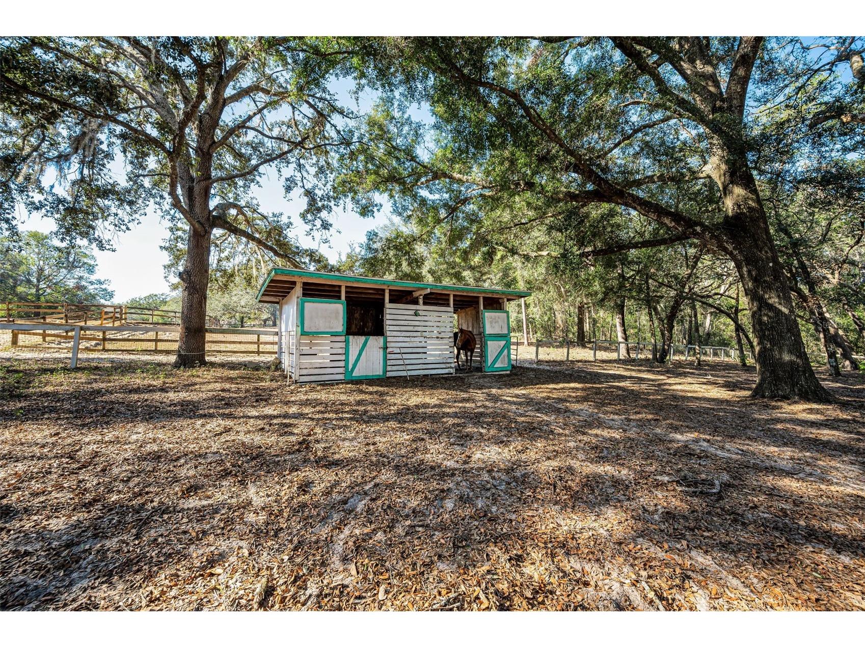 XXX Trilby Trails Trail Dade City FL 33523 TB8462818 image19