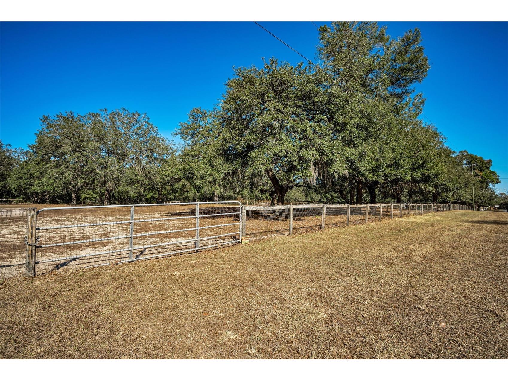 XXX Trilby Trails Trail Dade City FL 33523 TB8462818 image24