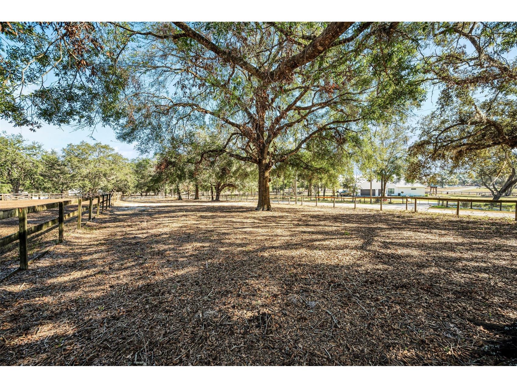 XXX Trilby Trails Trail Dade City FL 33523 TB8462818 image25