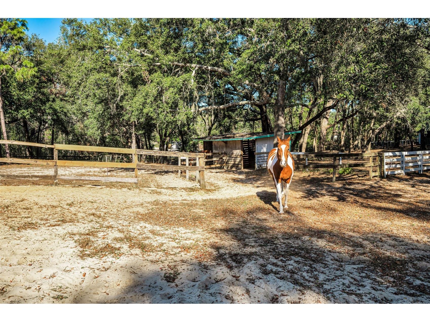 XXX Trilby Trails Trail Dade City FL 33523 TB8462818 image26