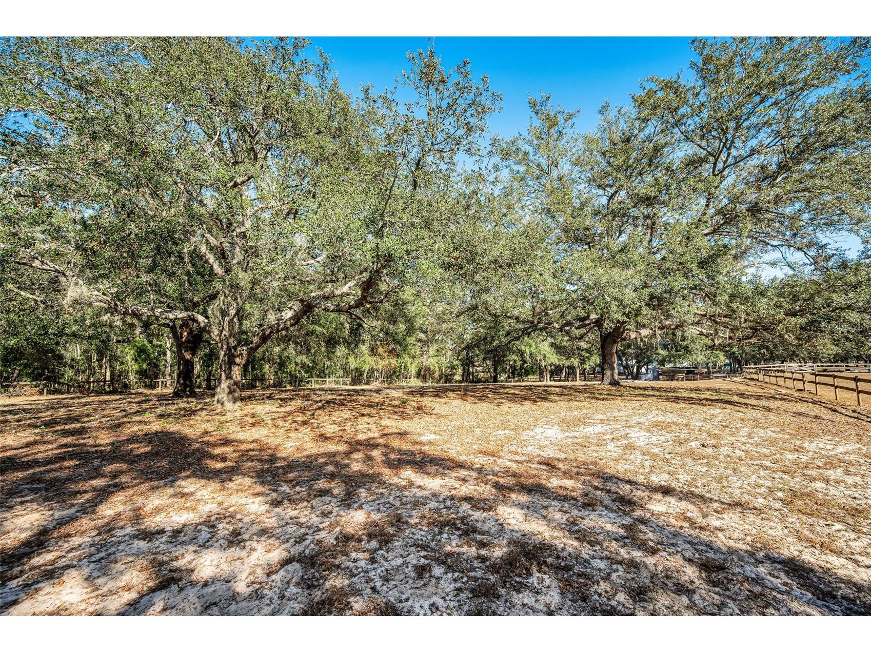 XXX Trilby Trails Trail Dade City FL 33523 TB8462818 image28