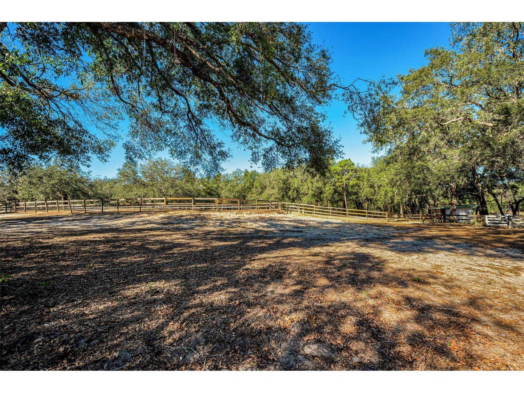 XXX Trilby Trails Trail Dade City FL 33523 TB8462818 image31