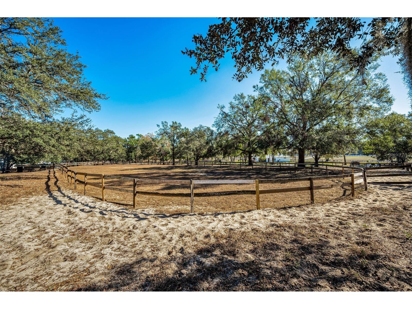 XXX Trilby Trails Trail Dade City FL 33523 TB8462818 image33